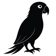Silhouette parrot on white background