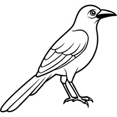 Clark's Nutcracker line art  vector