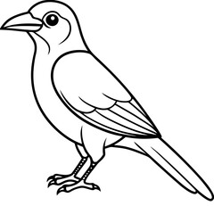 Clark's Nutcracker line art  vector