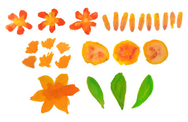 Watercolor Floral Elements 