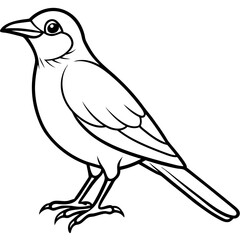 Clark's Nutcracker line art  vector