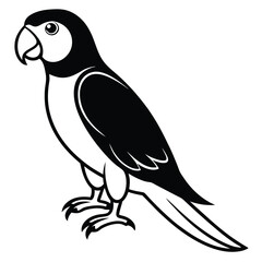 Silhouette parrot on white background