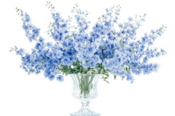 Elegant large bouquet of pale blue delphinium flowers arranged in a clear glass vase on a white background, perfect for wedding or sp floral decoration