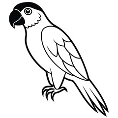 Silhouette parrot on white background