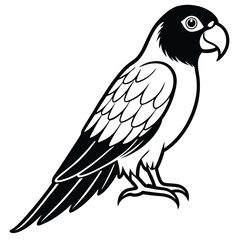 Silhouette parrot on white background