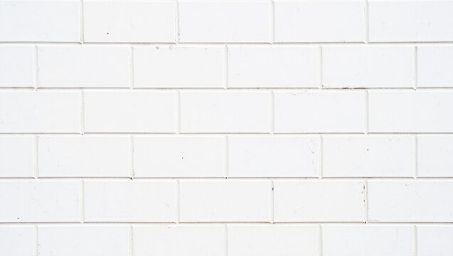 Fototapeta white brick wall background
