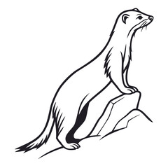 Obraz premium A stoat stands on a rock looking right in a black and white line drawing style on transparent background