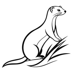 Line art of a stoat sitting upright among blades of grass in a black and white image on transparent background