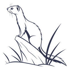 Line art of a weasel perched on a rock surrounded by tall grass looking left on transparent background