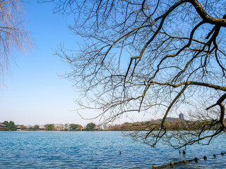 Obraz premium Landscape of Leifeng pagoda,located at Xihu(west lake) at Hangzhou city,China