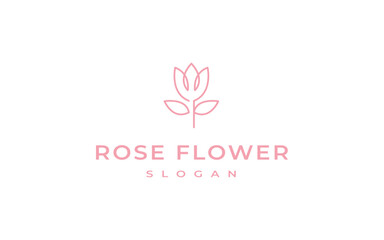 Fototapeta premium rose logo design vector illustration, simple line rose flower logo template