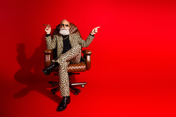 Charismatic senior man in a leopard print suit posing on a chair against a vivid red background,...