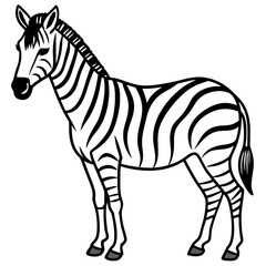 Zebra  line art vector