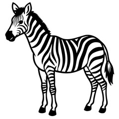 Zebra  line art vector
