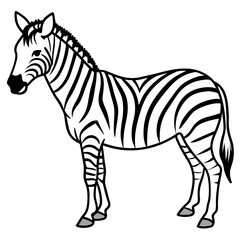 Obraz premium Zebra line art vector