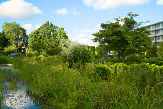 Urban green oasis for climate adaptation and biodiversity, city gardening at Kempkensberg Groningen
