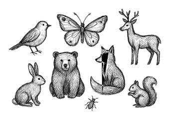 Naklejka premium Nature Sketch Icons