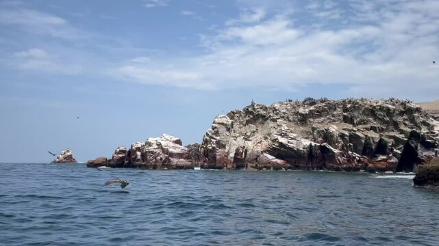 Seabirds on Rocky Cliffs of Ballestas Islands, Peru