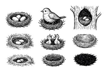 Obraz premium Hand-Drawn Nest Icons