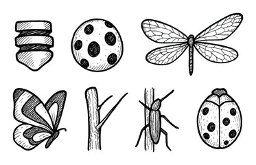 Worm and Insect Icons