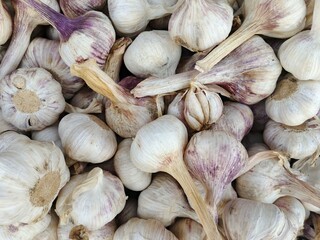 garlic on market