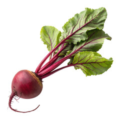 Healthy Single Fresh Beetroot Isolated on Transparent Background