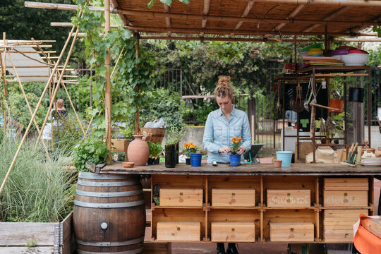 A young woman is repotting a small orange flower plant at an outdoor market stall. She is focused on the task, surrounded by other plants and gardening supplies.