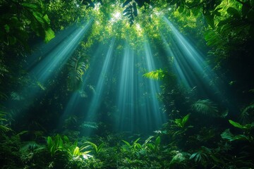Obraz premium Sunlight Filters Through Canopy in Dense Tropical Jungle Ecosystem