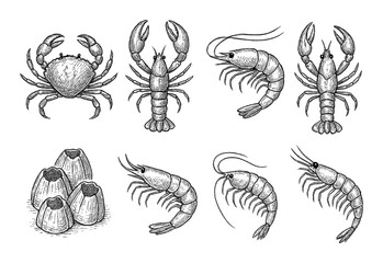 Crustacean Icons Set
