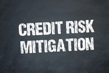 Credit Risk Mitigation	
