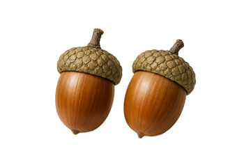 Two fresh brown acorns with textured caps isolated on transparent background, perfect for autumn, forest, and nature-themed designs