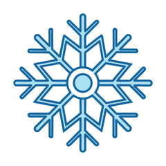 Snowflake on white background