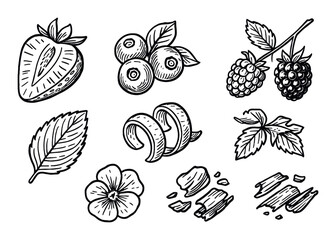 Berry Icon Collection