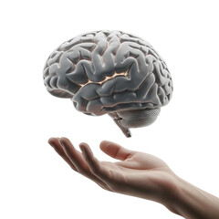 A detailed human brain floating above an open hand, isolated on a transparent background, ideal for medical illustrations, scientific presentations, and educational content