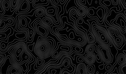 Contour vector illustration. Abstract topographic map background. Geography scheme. Modern design with White background with topographic wavy pattern design. 