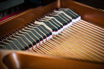 Inside of new grand piano, hammers closeup, shallow depth of field