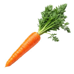 carrot fresh isolate white background