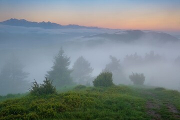 Mountain landscape with fog after rain, peaks in the fog. Beautiful, colorful spring panorama of Pieniny Mountains and Tatra Mountains in the fog and morning light, Poland, Slovakia