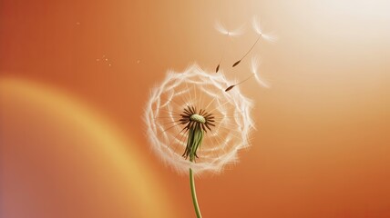 A delicate dandelion releasing seeds with a warm gradient orange background and soft glow