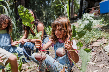 Latin children harvesting fruits and vegetables in the vegetable patch, agriculture concept at summer, hispanic family with little girl and boy in Mexico Latin America