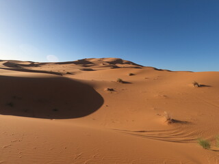 Moroccan Sahara Dunes