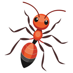 Fototapeta premium ant vector image on white background