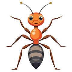 ant vector image on white background