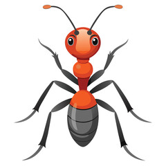 ant vector image on white background