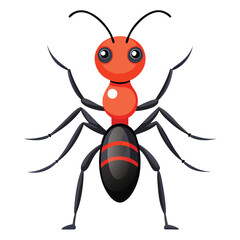 ant vector image on white background