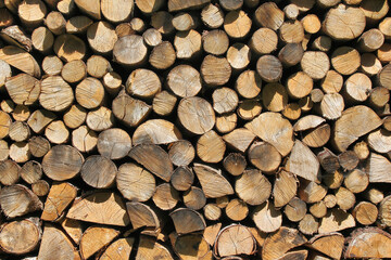Brennholz