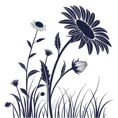 silhouette sunflower on white background