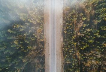 Aerial view of a quiet road bordered by dense forest in early morning light with soft mist rising