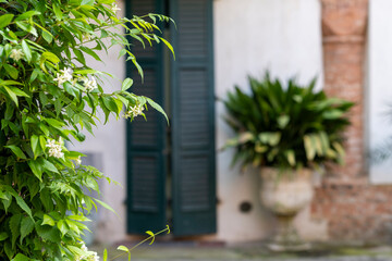 a tranquil garden scene featuring vibrant greenery and a glimpse of a traditional building with shutters hinting at peaceful outdoor area inviting calm
