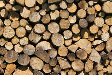 Brennholz
